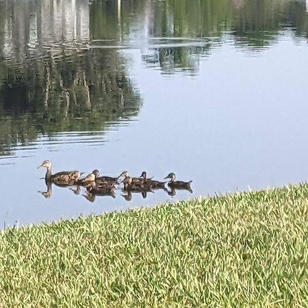 Port St. Lucie Port Saint Lucie A Little Piece Of Heaven- Peaceful Lake View Apartment- 1 Min From I95 And Turnpike מראה חיצוני תמונה